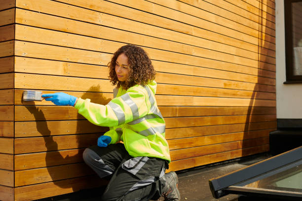 Best Siding Painting and Refinishing  in Westminster, CO